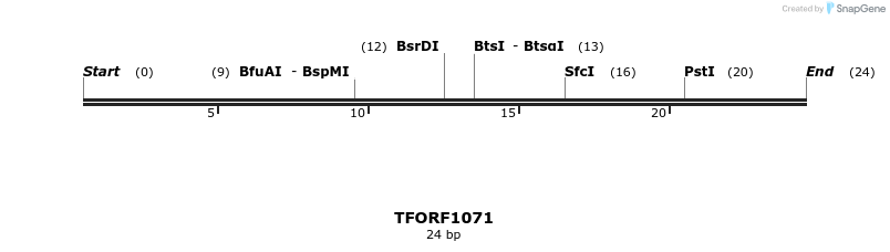 283891_map