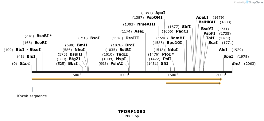 283893_map