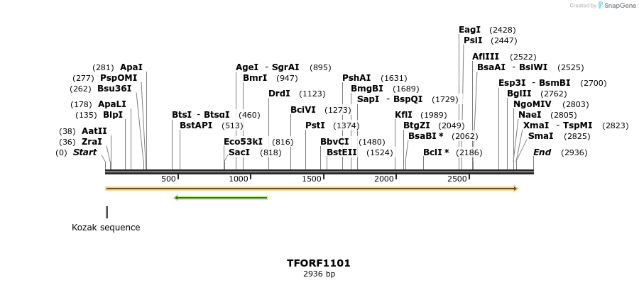 283902_map
