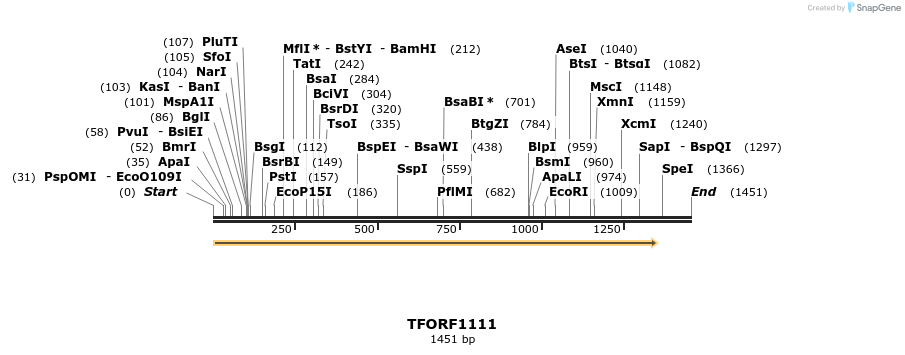 283905_map