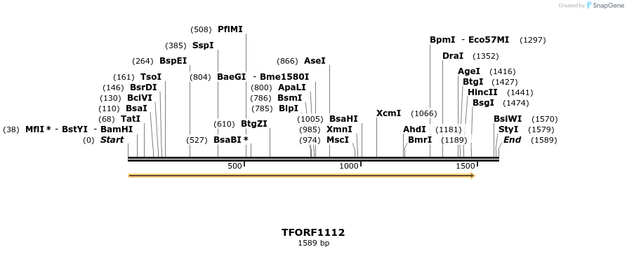 283908_map