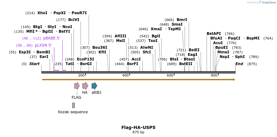 28391_map