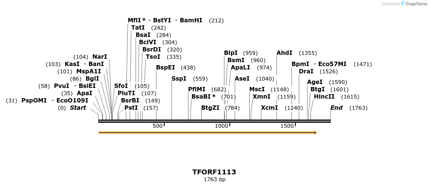 283911_map