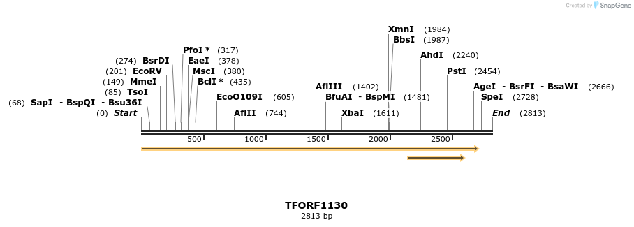 283920_map