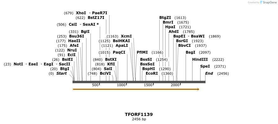283923_map