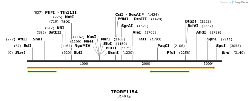283926_map