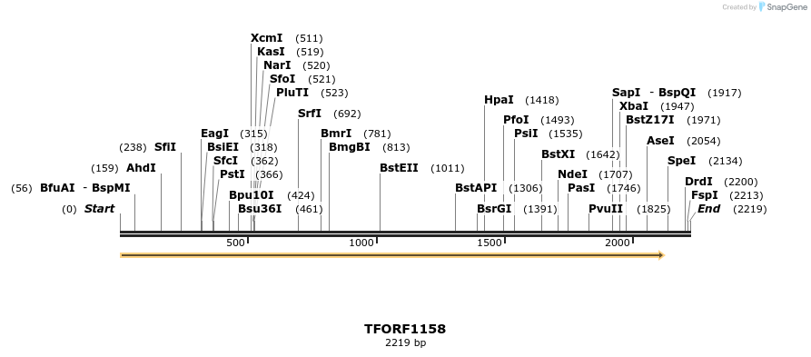 283929_map