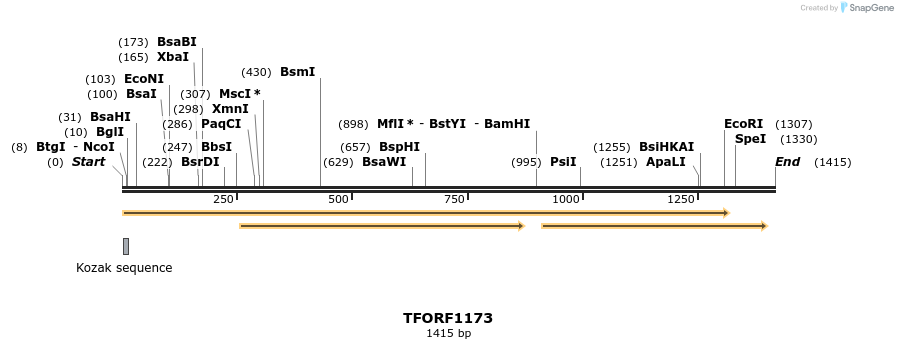 283932_map