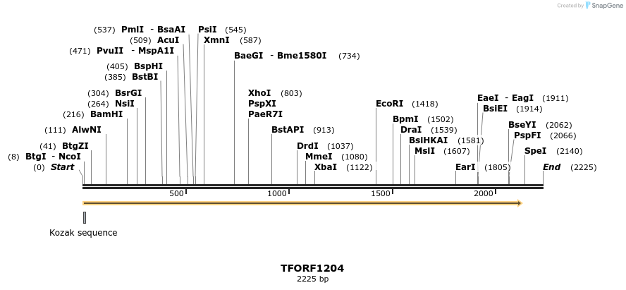 283938_map