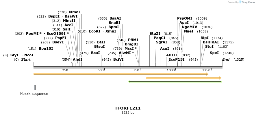 283941_map