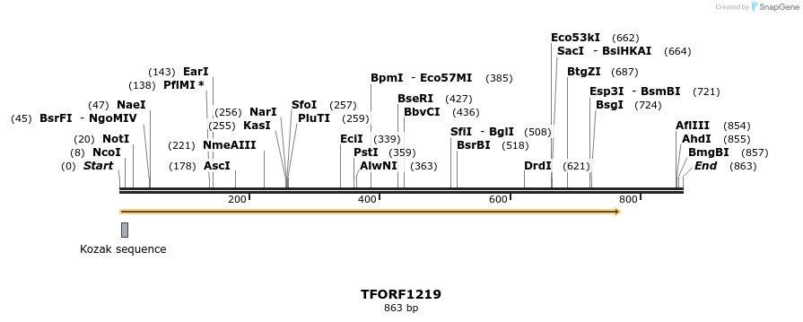 283944_map