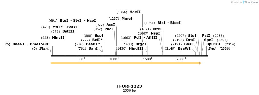 283947_map