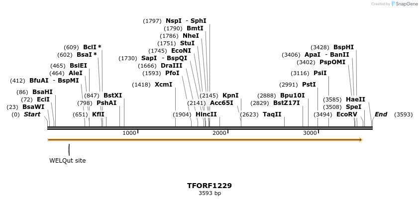 283950_map