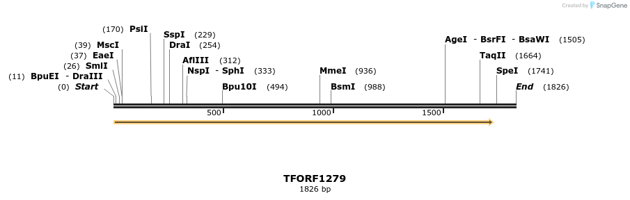 283956_map