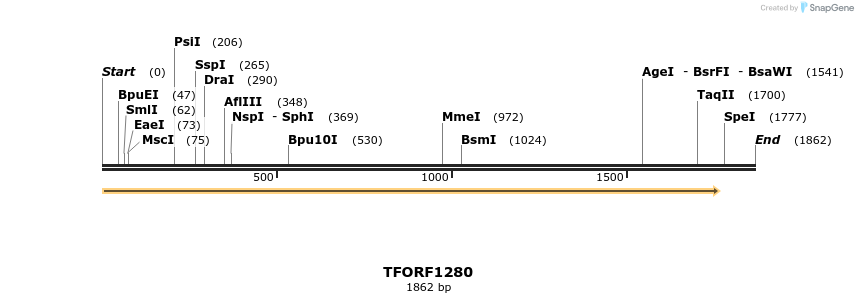 283959_map