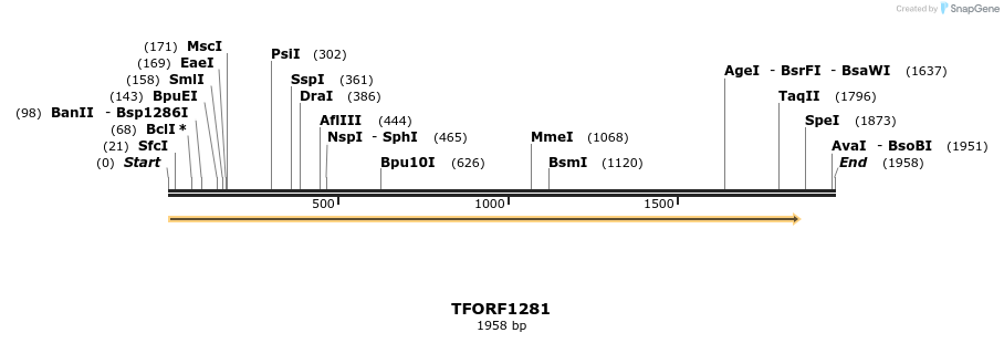 283962_map