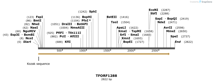 283968_map