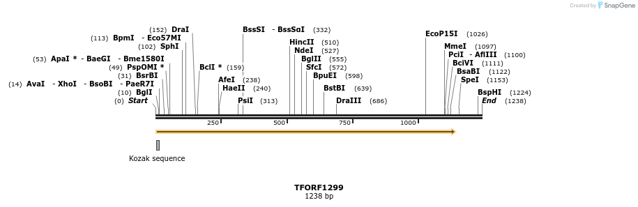 283971_map