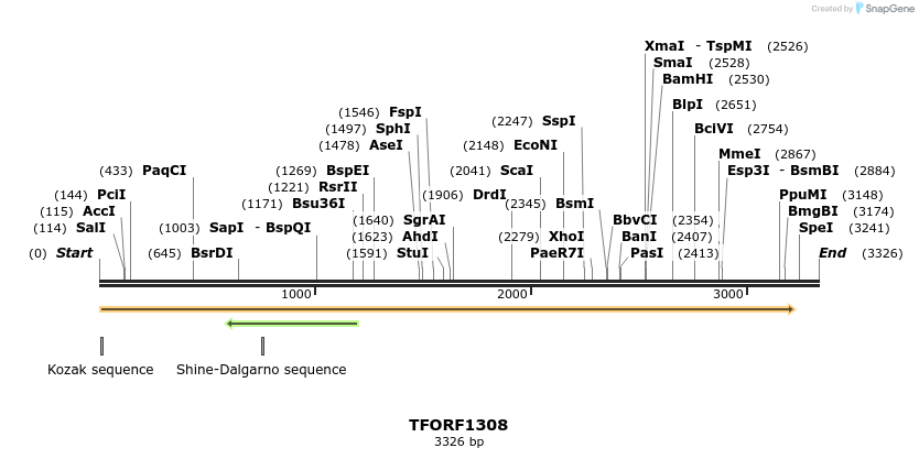 283974_map