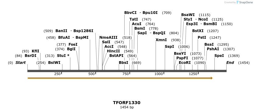 283977_map