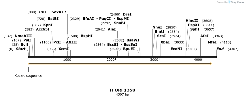 283983_map