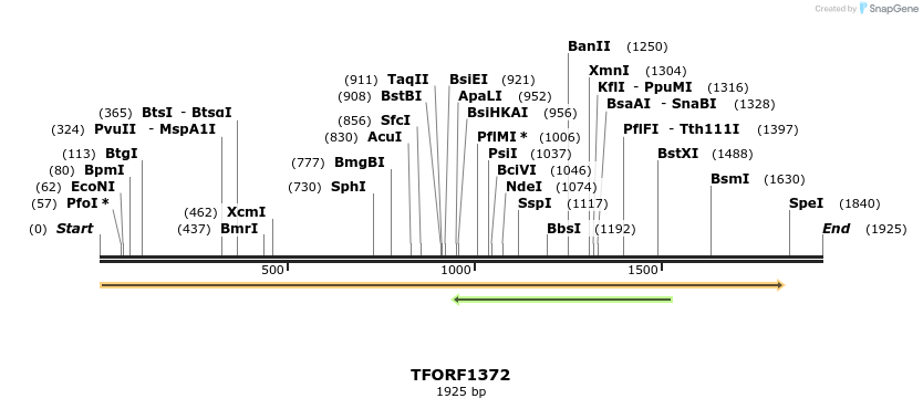 283986_map