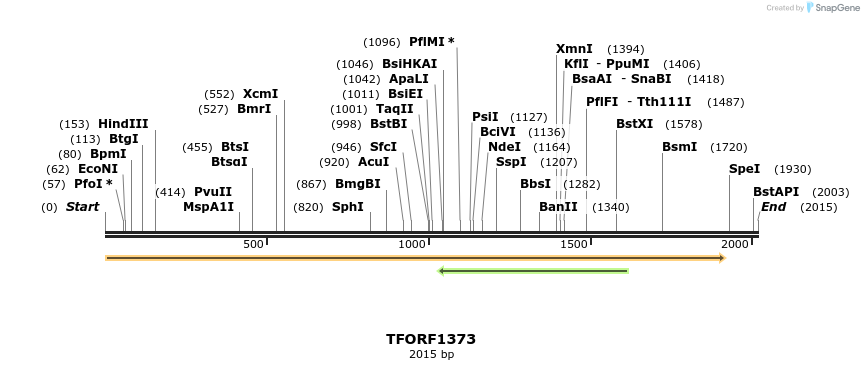 283989_map