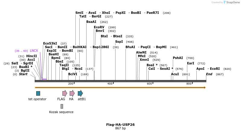 28399_map