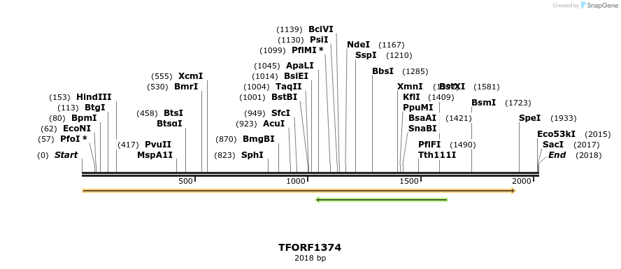 283992_map