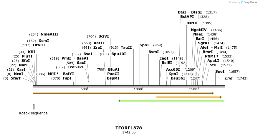 283995_map