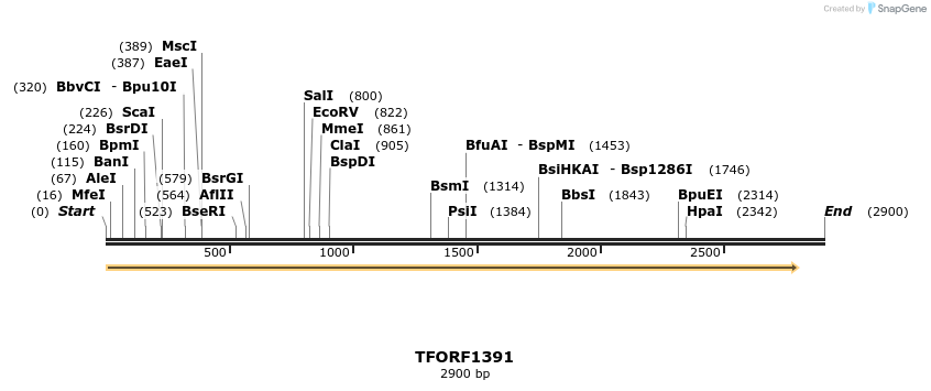 283998_map