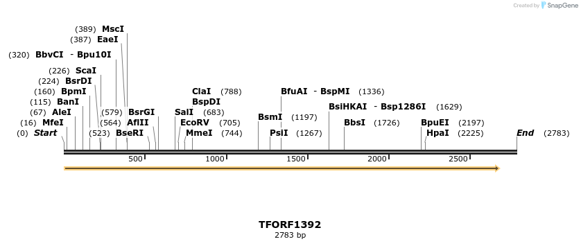 284001_map