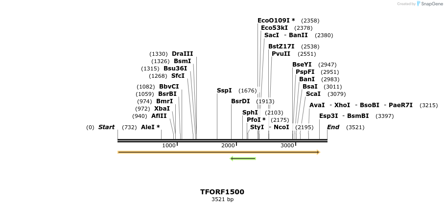 284007_map