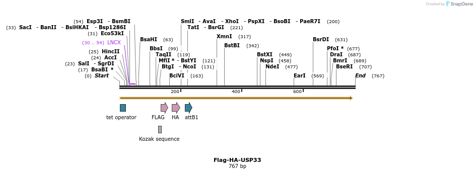 28401_map