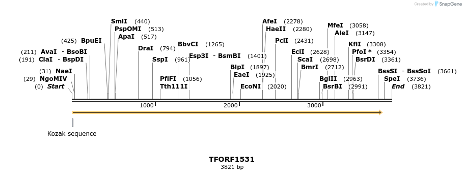 284010_map