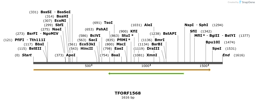 284013_map