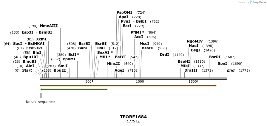 284022_map