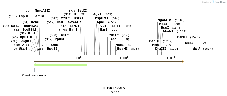 284025_map