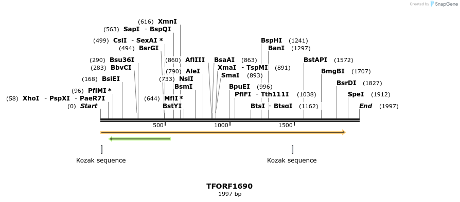 284028_map