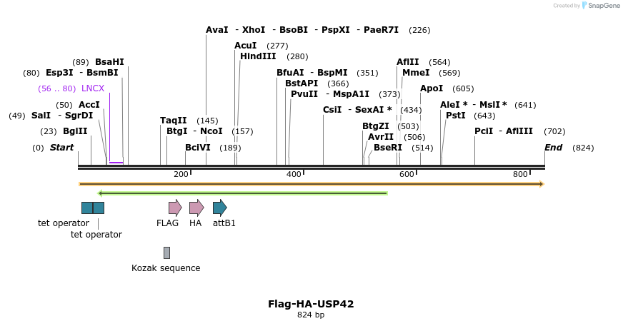 28403_map