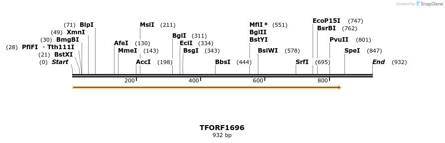 284031_map