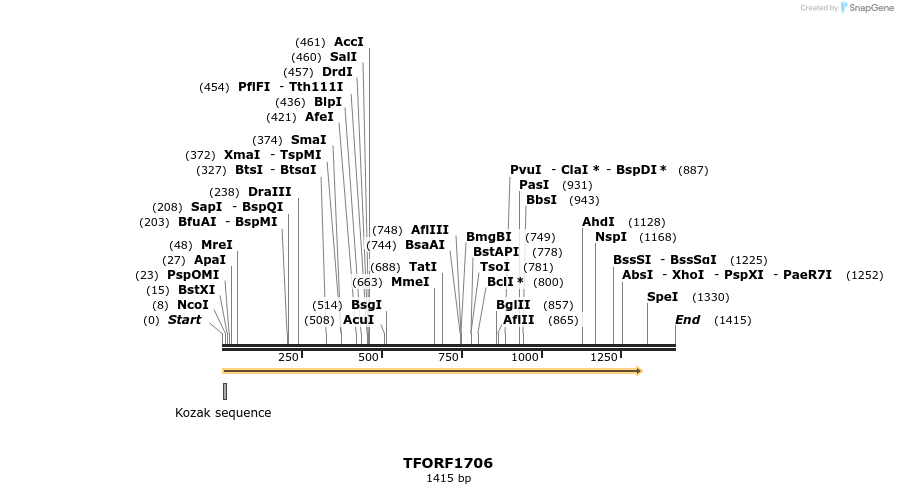 284034_map