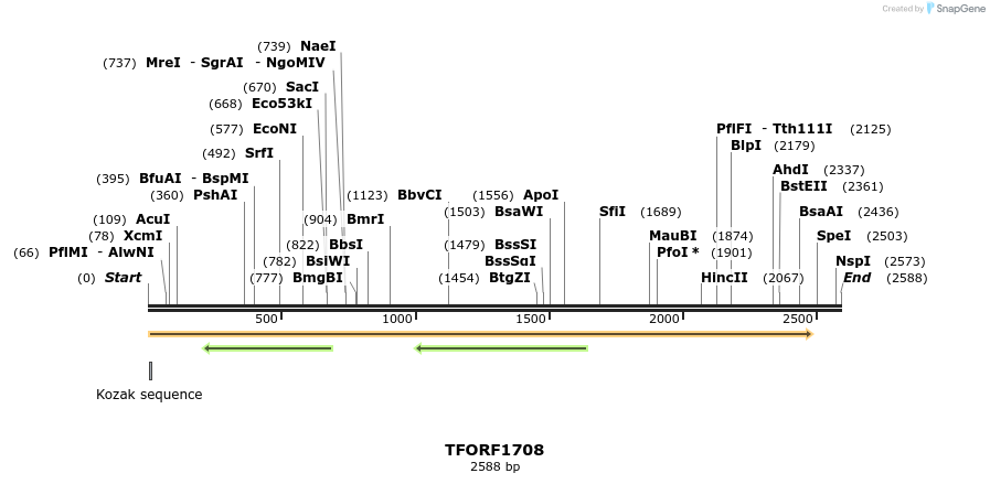 284037_map