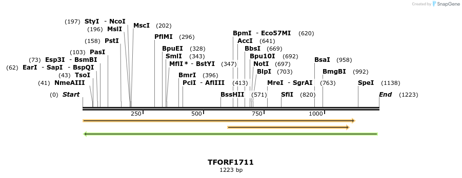 284040_map