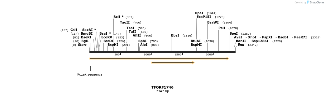 284043_map
