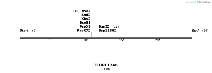 284044_map