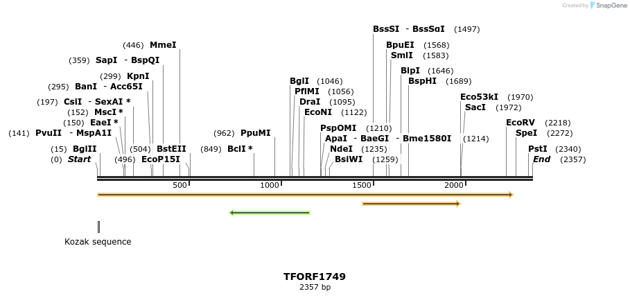 284046_map