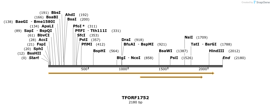 284049_map