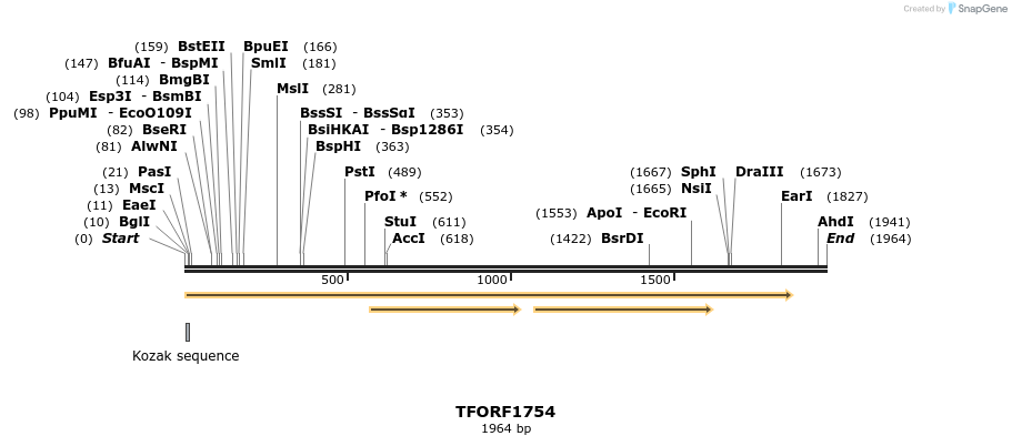 284052_map