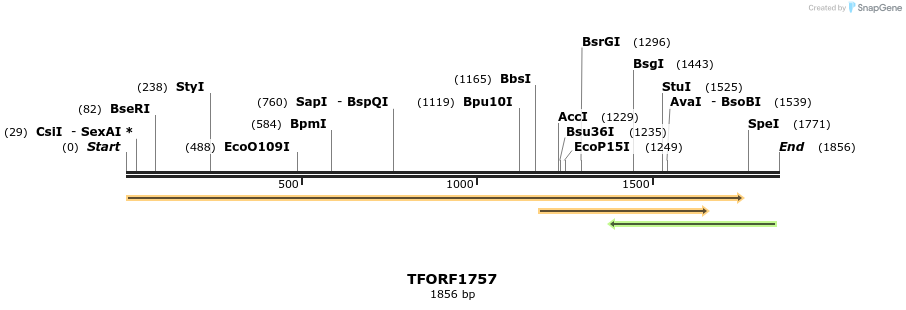 284055_map